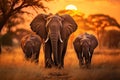 Adult elephant on african savannah in sunset. Created with Generative AI