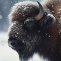 Adult European bison s fluffy head captured against a snowy backdrop. ai generative