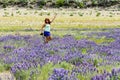 Adult female poses in a field of purple lupine wildflowers in the June Lake Loops in the Eastern Sierra mountains of California