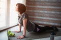 Adult fit slim woman has workout at home. Side view of senior model standing on knees and keeping body on mat Royalty Free Stock Photo