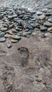 Footprints in the sand at coastline