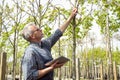 Adult gardener examining genetically modifying plants. The hands holding the tablet. In the glasses, a beard, wearing overalls Royalty Free Stock Photo