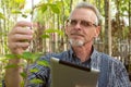 Adult gardener in the garden shop inspects plants. In the glasses, a beard, wearing overalls