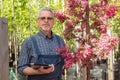 Adult gardener near the flowers. The hands holding the tablet. In the glasses, a beard, wearing overalls. In the garden shop