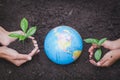 The adult hand and child hand hold a small tree beside the globe, plant a tree, reduce global warming, World Environment Day Royalty Free Stock Photo