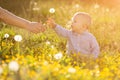 Adult hand holds baby dandelion at sunset Kid sitting in a meadow Child in field Concept of protection Allergic to flowers pollen Royalty Free Stock Photo