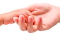 Adult hands holding a child's hand Isolated on white