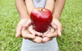 Adult hands holding kid hands with red apple