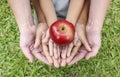 Adult hands holding kid hands with red apple on top