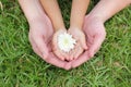 Adult hands holding kid hands with white flower