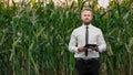 Adult, handsome, blonde, businessman holding a black, new tablet and standing in the middle of green and yellow corn field Royalty Free Stock Photo