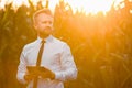 Adult, handsome, blonde, businessman holding a black, new tablet and standing in the middle of green and yellow corn field during Royalty Free Stock Photo