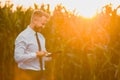 Adult, handsome, stylish, blonde, businessman holding a black, new tablet and standing in the middle of green corn field during Royalty Free Stock Photo