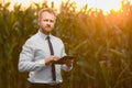 Adult, handsome, stylish, blonde, businessman holding a black, new tablet and standing in the middle of green corn field during Royalty Free Stock Photo