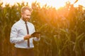 Adult, handsome, stylish, blonde, businessman holding a black tablet and standing in the middle of green and yellow corn field Royalty Free Stock Photo