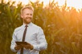 Adult, handsome, stylish, blonde, businessman holding a new tablet and standing in the middle of green and yellow corn field Royalty Free Stock Photo