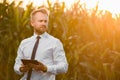 Adult, handsome, stylish, businessman holding a black, new tablet and standing in the middle of green and yellow corn field during Royalty Free Stock Photo