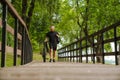 Adult handsome tattooed bearded smiling man i walking with bicycle