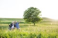 An adult hipster son with senior father in wheelchair on a walk in nature at sunset, laughing. Royalty Free Stock Photo