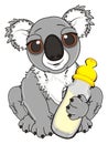 Adult koala with milk