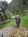 Adult lady walking downhill in long narrow mountain street in Vrosina village , Ioannina perfecture Greece