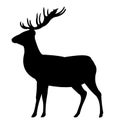 Adult male deer. Side view. Wild animals. Silhouette figures. Isolated on white background. Vector. Royalty Free Stock Photo