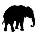 Adult male elephant black silhouette Royalty Free Stock Photo