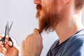 Man cutting his own beard and mustache with scissors and comb. Caucasian red bearded male trimming hair on face at home Royalty Free Stock Photo