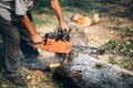 Portrait of man cutting trees with chainsaw and tools