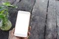 Adult man hand hold a mobile phone blank screen white mockup smartphone cellphone with glass bottle green plant and copyspace. Royalty Free Stock Photo