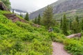 Adult man hikes along the Swiftcurrent Pass trail in Glacier National Park Montana Royalty Free Stock Photo