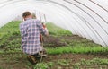 Adult man pours seedlings out of hoses in a greenhouse, view from the back.Farmer takes care of plants that grow in the greenhouse Royalty Free Stock Photo
