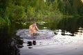 Adult man splash water in forest lake Royalty Free Stock Photo