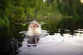 Adult man splash water in forest lake Royalty Free Stock Photo