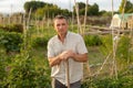 Adult man standing in vegetable garden during break from work Royalty Free Stock Photo