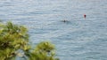 Adult Man swimming - outside - over the buoy line