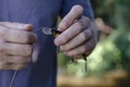 An adult man ties a plastic wobbler to a fishing line Royalty Free Stock Photo