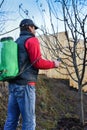 Adult men spraying fruit trees early in sprigtime