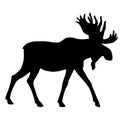 Adult moose go black silhouette Royalty Free Stock Photo