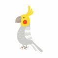 Adult parrot of normal grey cockatiel. Nymphicus hollandicus, corella. Cartoon bird design. Vector illustration Royalty Free Stock Photo