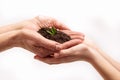 Adult person holding some soil Royalty Free Stock Photo