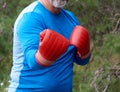 adult plump athlete in blue uniform and red leather boxing gloves Royalty Free Stock Photo