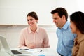 Adult professional colleagues looking at laptop