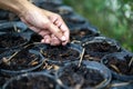 Adult`s hand is holding and proping up the sapling in blac plastic flowerpot