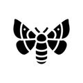 adult silkworm moths glyph icon vector illustration