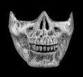 Adult Skeleton Mouth Mask