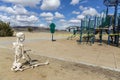Adult skeleton sitting on the ground looking at an empty closed park on a nice day