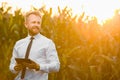 Adult, stylish, blonde, businessman holding a black, new tablet and standing in the middle of green and yellow corn field during Royalty Free Stock Photo