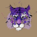 Adult tiger graphic, icon, vector