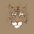 Adult tiger graphic, icon vector